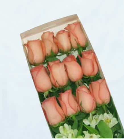 Caja con 12 Rosas Rosadas