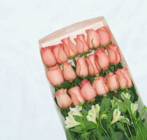 Caja con 18 Rosas Rosadas