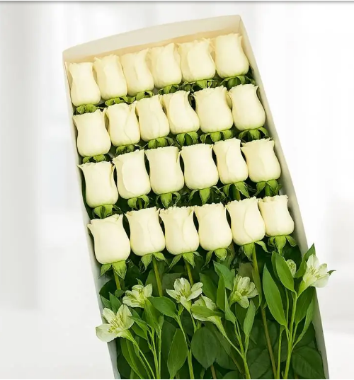 Caja con 24 Rosas Blancas