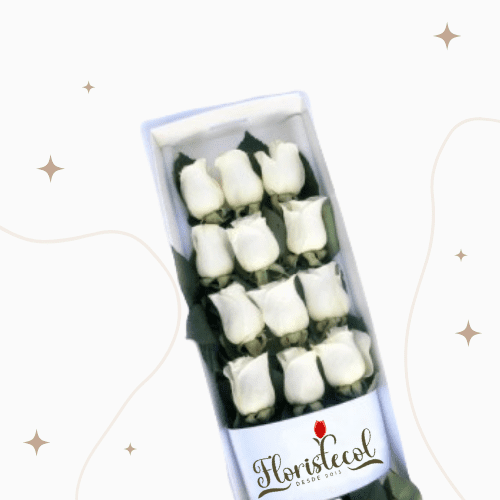 Caja de 12 Rosas Blancas