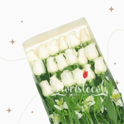 Caja con 18 Rosas Blancas