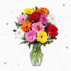 Jarrón con 12 Gerberas